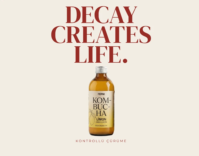 FERM kombucha marka kimliği ve UI/UX